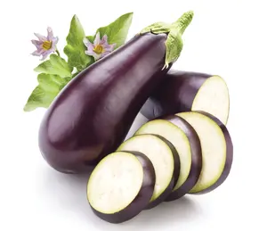 Eggplant